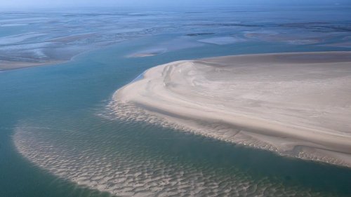 Klimawandel: "Beispiellose Veränderungen" im Wattenmeer