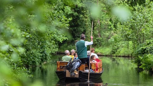 Tourismus: Spreewald macht sich startklar für die Saison