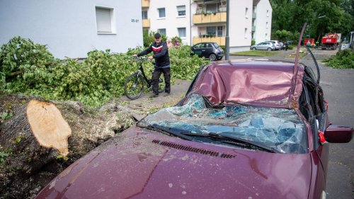 Naturgefahrenbilanz: Versicherer: Schäden durch Unwetter mehr als verdreifacht