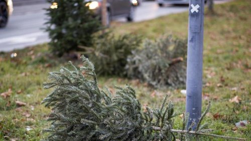 Kriminalität: Fäuste fliegen: Streit um Weihnachtsbaum eskaliert