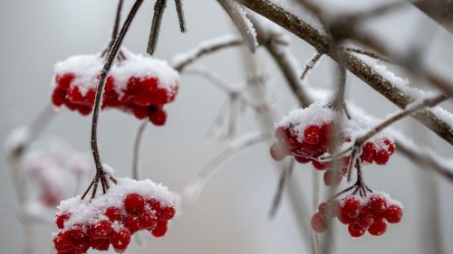Wetter: Glättegefahr und leichter Schneefall in Niedersachsen