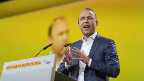 Wahlen: FDP-Chef: Grüne haben sich bei den Sondierungen durchgesetzt