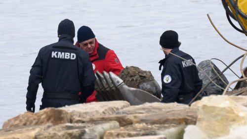Kampfmittelbeseitigung: Explosive Überraschung: Mehr Bombenfunde in Sachsen