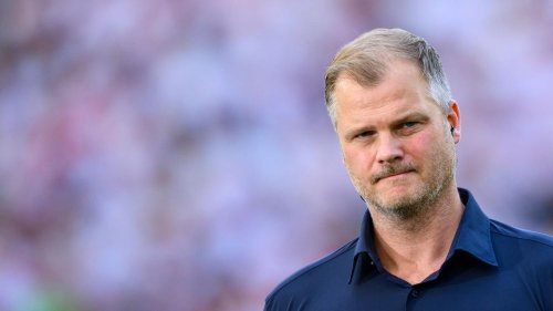 Bundesliga: VfB-Sportchef Wohlgemuth will "runter vom Schaukelpferd"