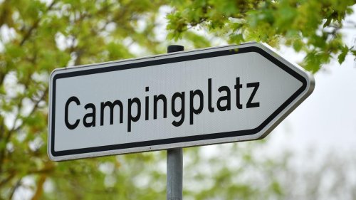 Vorpommern-Rügen: Mehr Naturschutz auf Campingplatz: Land sucht Pächter