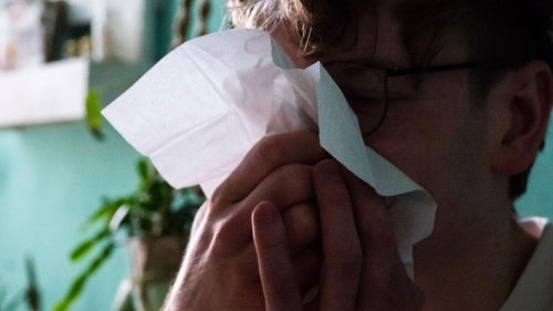 Krankheiten: Grippewelle in Thüringen klingt aus