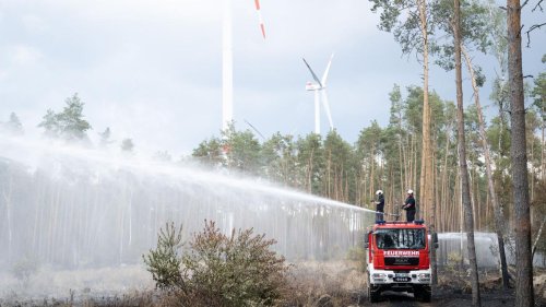 Während Einsatz: Waldbrand im Kyffhäuserland: Feuerwehrleute verletzt