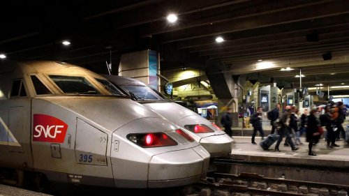 Tiere: Zug überfährt Hauskatze in Paris - Fall entrüstet Frankreich