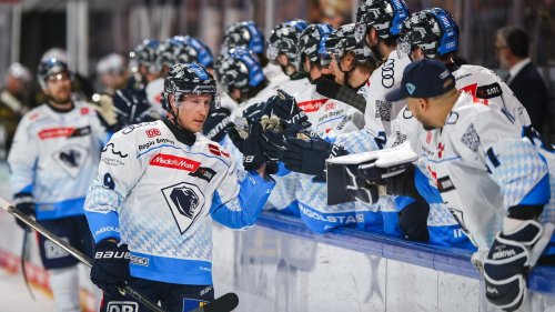 Deutsche Eishockey Liga: Quintett verlängert beim ERC Ingolstadt