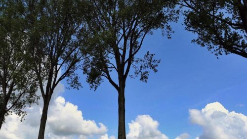 Wechselhafter Wochenstart in Berlin und Brandenburg