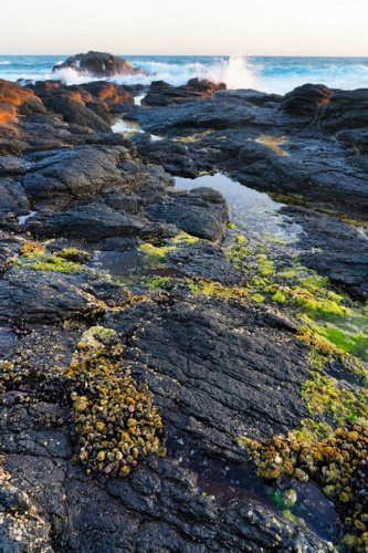 Flinders Blowhole, Mornington Peninsula | Flinders Blowhole, Mornington Peninsula