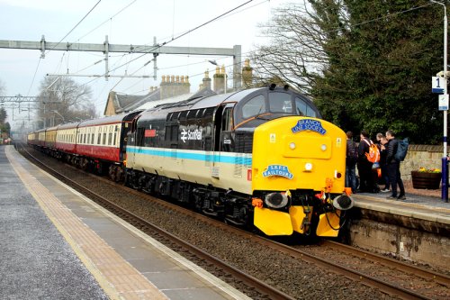 March 2025 | 37401 tnt 37403 at Linlithgow
