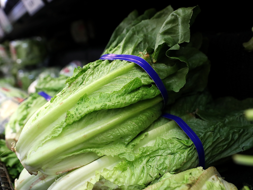 Canada's lettuce problem: What a $15 bag of romaine says about our food system