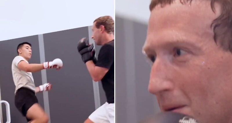 Video: Mark Zuckerberg shows off MMA skills while sparring with UFC fighter