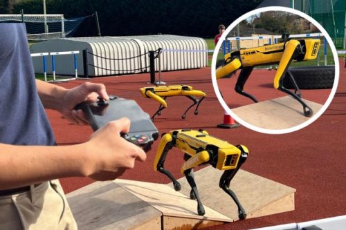 High-tech robot dogs race at Sir Roger Bannister's Iffley Road running track
