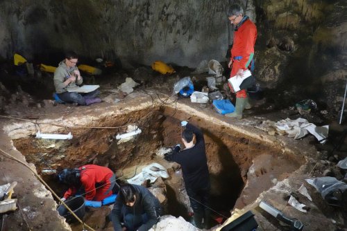 Gene-ius: Could Neanderthals Be Cloned From New Super DNA Discovery? - Zenger News