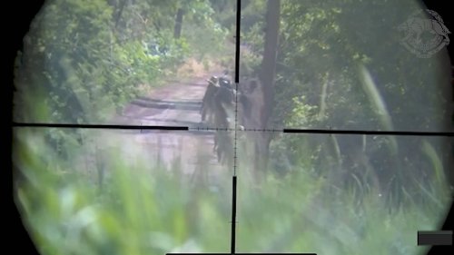 Ukrainian Special Forces Sniper Takes Out Group Of Russian Soldiers - Zenger News