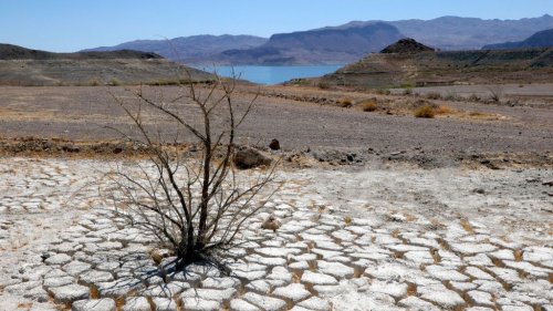 As Lake Mead Dries Up, Bodies Of More Homicide Victims Are Likely To Be Found - Zenger News