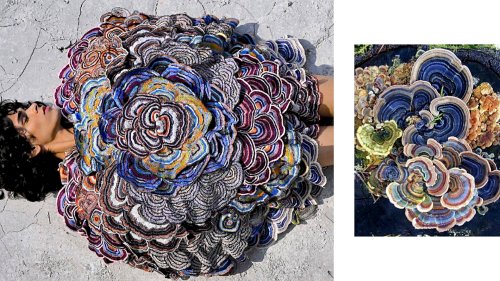 Mushrooms That Thrive In Decay Inspire Indian Designer's Show - Zenger News