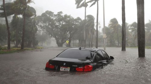Why Consumers Should Check Cars For Flood Damage Before Buying