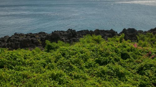 Ancient Humans Not To Blame For Extinction - Zenger News