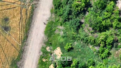 Azov Troops Use Drone To Drop Bomb On Two Russian Soldiers Hiding In Trench - Zenger News