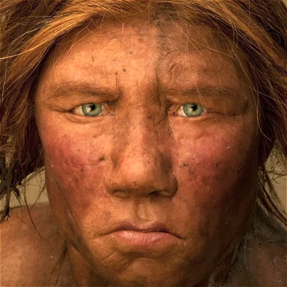 All The Extinct Species Humans Used To Mate With | Flipboard