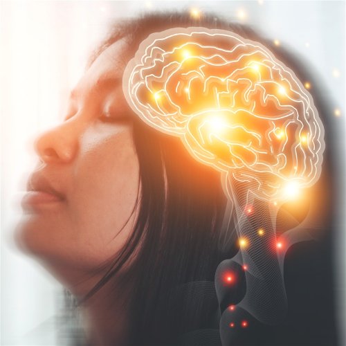 5 Ways To Increase Your Intelligence