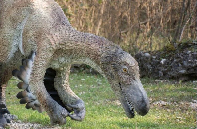 Here's What Velociraptors Really Looked Like