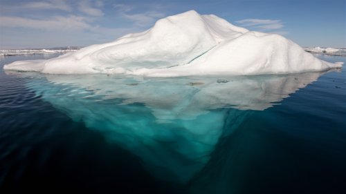 Scientists Found Something Alarming Under The Arctic Ice