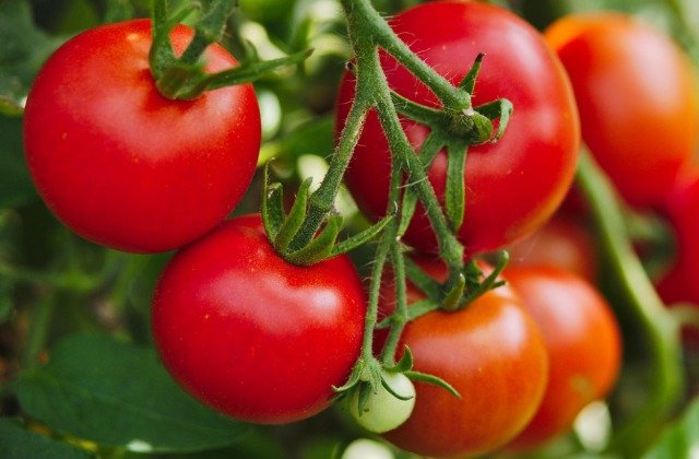 Here's The Right Way To Preserve Your Summer Tomatoes
