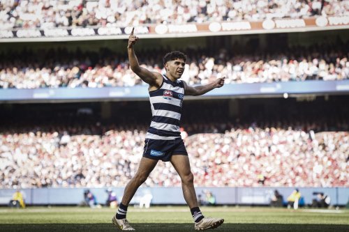2022 AFL Grand Final Player Ratings Geelong Cats Flipboard 2022-afl-grand-final-player-ratings-geelong-cats-flipboard