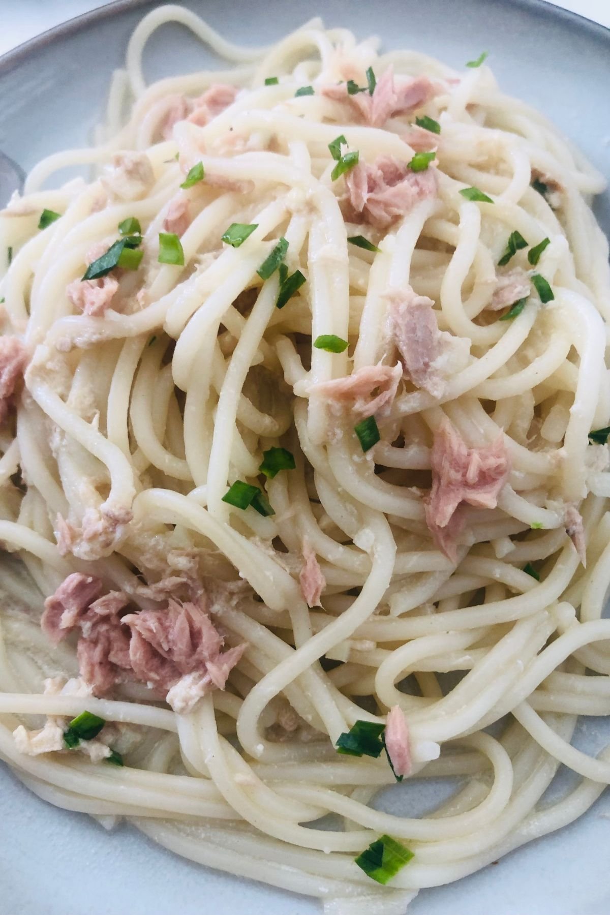 BEST PASTA RECIPES | @ZestyLimesBlog | Flipboard