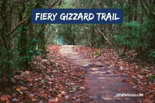 Fiery Gizzard Trail [Unveiling a Hidden Paradise]