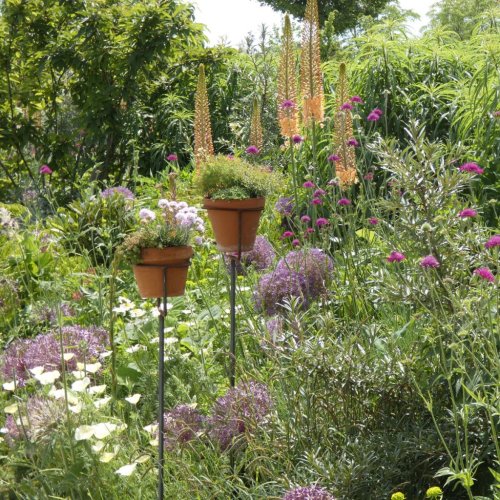 Wie Sie einen kleinen Garten romantisch gestalten – 7 tolle Tipps