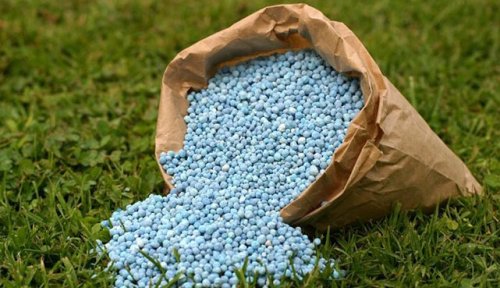Government misses opportunity to earn billions by delaying gas reforms in fertilizer sector - Zivallo.pk
