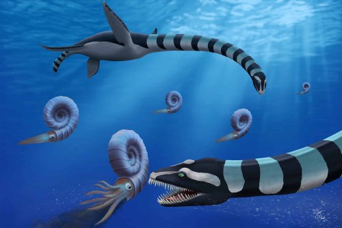 The Weirdest Sea Reptile You’ve Never Heard of Was Just Officially Named After 45-Year Limbo