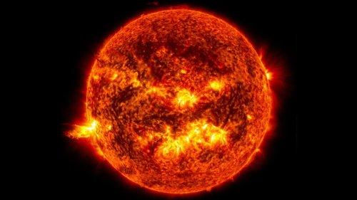 The Strongest Solar Storm Ever Was 500 Times More Powerful Than Anything We’ve Seen in Modern Times. It Left Its Mark in a 14,000-Year-Old Tree