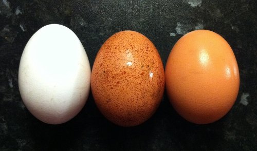This is absolutely the best way to crack an egg, according to science