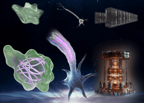 Cells Might Be Doing Quantum Computing. Life on Earth Has Performed 10⁶⁰ Logical Operations