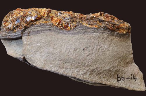 This beautiful rock holds evidence of tsunamis from 115 million years ago