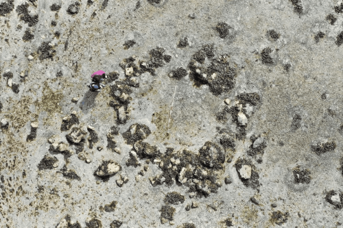Mysterious Stone Circles on Remote Scottish Island May Have Been Home to Humans Before Stonehenge Existed