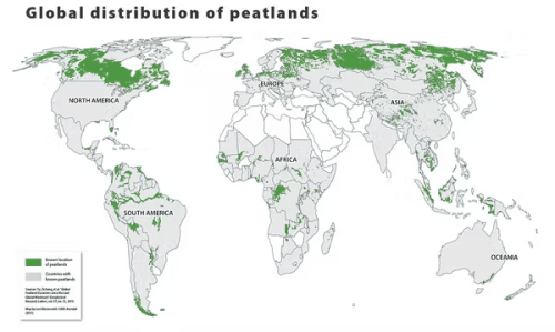 Peatlands help protect us from climate change. But if we don’t, they’ll turn on us
