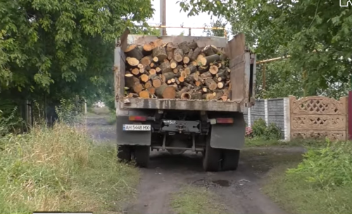 Як закупити дрова перед опалювальним сезоном: спрощена процедура для українців